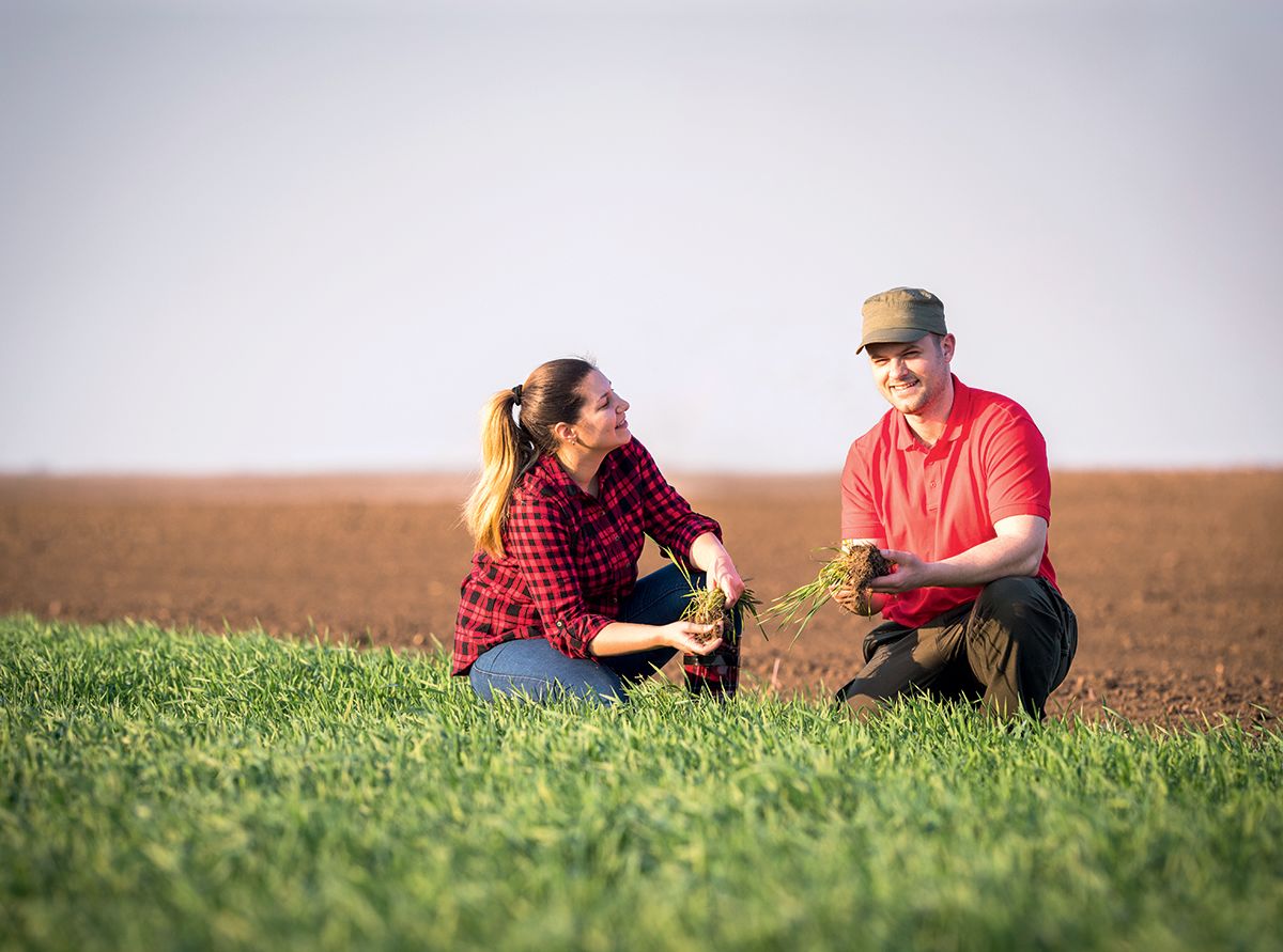 GRAA - fidélité immersif - fidélité agri - marché agricole