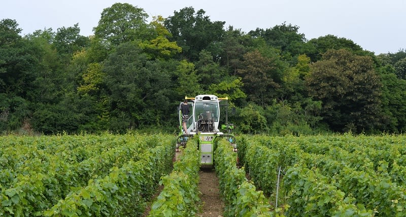 GGE - Agriculteur sur Tracteur dans les vignes