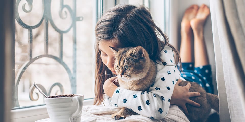 Assurance santé chat rebond